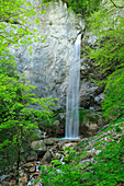Waterfall of Wildenstein falling over cataract, Wildensteiner waterfall, Karawanken range, Carinthia, Austria, Europe