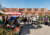 Menschen auf dem Wochenmarkt, Bassinplatz, Potsdam, Land Brandenburg, Deutschland, Europa