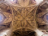 Bóveda de crucería en la nave central de la iglesia del Convento de la Piedad en Casalarreina - La Rioja