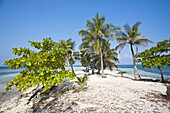 Water Caye, Bay Islands, Honduras