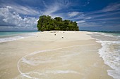 Beach on Cayos Zapatillas (Zapatillas Keys), Bocas del Toro Province, Panama