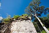 Plaza of the Seven Temples, Tikal, El Peten department, Guatemala