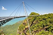 Steel suspension bridge in the Malaysian jungle