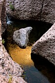 Aravaipa Canyon Wilderness, boulders in creek showing reflection of cliffs in water. Arizona, USA