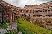 Colosseum, Rome, Italy