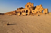 byzantine ruins at the archeological site of Resafa, Sergiopolis, near the Euphrates, Syria, Middle East, West Asia