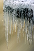 Canada, Cold, Coldness, Colors, Colour, Environment, Environmental, Flow, Flowing, Formation, Freezing, Frozen, Hanging, Ice, Icicles, Icy, natural, Nature, Outdoors, Québec, Season, Snow, Snow-covered, Stream, Vertical, Water, Winter, XY8-1100749, agefot