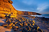 England, Northumberland, Cullernose Point Dawn light illuminates the rocky shoreline of Cullernose Point, near the village of Craster on the Northumberland Heritage Coast
