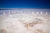 Bolivia, Southern Altiplano, Salar de Uyuni Cones of salt stacked on the Salar de Uyuni salt flat