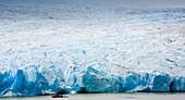 Chile, Southern Patagonia, Torres Del Paine National Park Tourist boat on the Lago Grey dwarfed by the sheer ice wall of the Grey Glacier and the Patagonian Ice Field