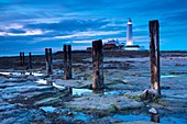 England, Tyne & Wear, St Mary's Lighthouse St Marys Island and Lighthouse, a popular tourist destination near Whitley Bay