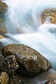 New Zealand, Canterbury, Arthur's Pass National Park Detail view of a boulder in the river bed of the Bealey River