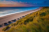 England, Northumberland, Druridge Bay A dramatic expanse of sand dunes fringing the picturesque beach at Druridge Bay, viwed shortly after sunrise