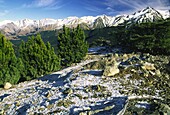 NEW ZEALAND, Canterbury, Craigieburn Forest Park A winter view from the top of the Craigieburn range with heavy frost