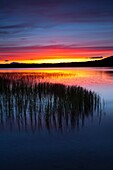 Scotland, Scottish Highlands, Cairngorms National Park Summer sunset over Loch Morlich near Aviemore