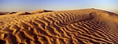 TUNISIA, Zaafrane, Sahara Desert Morning light illuminates the patterns of the sand dunes of the great erg oriental
