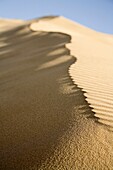 Sand dune, Fuerteventura