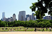 meadow in central park, new york