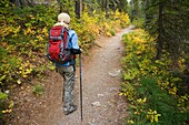Woman hiker on Saint Mary Lake trail, Glacier National Park