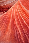 Sandstone formation called Wave in Coyote Buttes north area illuminated by reflected morning light deep in one southwestern canyon