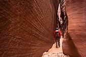 Hiker in the Navajo Sandstone narrows of Buckskin Gulch in the Paria Canyons - Vermilion Cliffs Wilderness Area, Utah