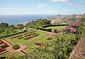Gardens of the Jardim Botanico, Funchal, Madeira