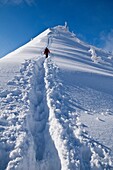 Person Climbs through deep powder snow towars summit of Jenner, Berchtesgaden national park, Bavaria, Germany