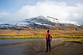 Hiker stands on shore of Abeskojavri lake in autumn, Kungsleden trail, Lapland, Sweden