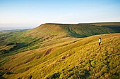 View from Twmpa towards Hay Bluff, Black mountains, Brecon Beacons national park, Wales