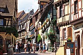 France, Alsace, Riquewihr, Route du Vin d'Alsace
