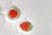 Milk splashing by strawberry, Japan, Fukushima