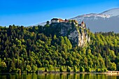 Bled Castle Bled Slovenia