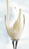 fresh milk being poured into a glass