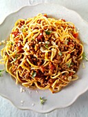 Bolognese, cooked, eatable, eating, food, fresh, healthy, Italian, pasta, recipe, Sauce, spaghetti, Studio shot, tradition, traditional, vertical, YL2-1202599, AGEFOTOSTOCK