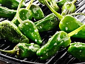 Whole griddled Padron peppers snack with sea salt