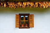 Traditional farm house of the Orség Orseg region with corn drying, Hungary