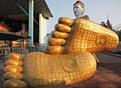 Myanmar, Burma, Yangon, Rangoon, Mai La Mu Pagoda, Buddha's feet