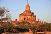 Myanmar, Burma, Bagan, Sulamani Temple