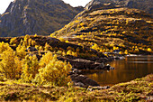 Landschaft auf den Lofoten bei A, Herbst, Süd Lofoten, Moskenesoy, Norwegen, Skandinavien, Europa