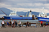 Sports Activities on the Port of Reykjavik, Iceland, Europe