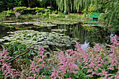 The White Water Lily Pond in the Impressionist Painter Claude Monet's Water Garden, Giverny, Eure (27), France