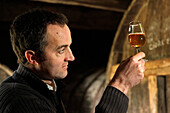 Stephane Grandval, Cider Producer at the Grandouet Manor, Cambremer, the Cider Road, Calvados (14), Lower Normandy, France