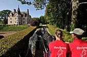 Harnessed Percheron Horses, the Manor of the Grand Prainville, Saint-Jean-Pierre-Fixte, Eure-Et-Loir (28), France