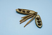 Ginseng root and star anise on dried husks