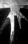 Skyscrapers, low angle view, b&w