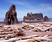 Piles of Driftwood and Rock Formations on Beach, Washington, USA