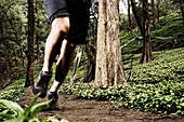 Man Running on Forest Path, Hawaii, USA