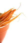 Carrots in Bowl