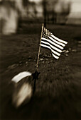 American Flag and Gravestone