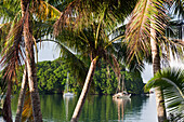 Segelboote ankern vor Insel, Suva Harbour, Viti Levu, Fidschi